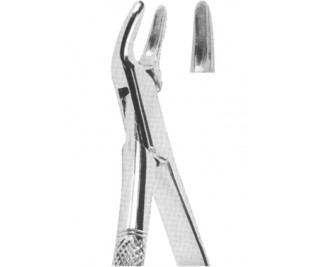 Extracting Forceps American pattern